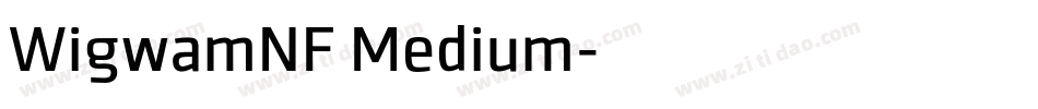 WigwamNF Medium字体转换